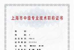 案例展示-2022年中级职称市政工程（含地下工程、桥梁工程、道路_公路工程）